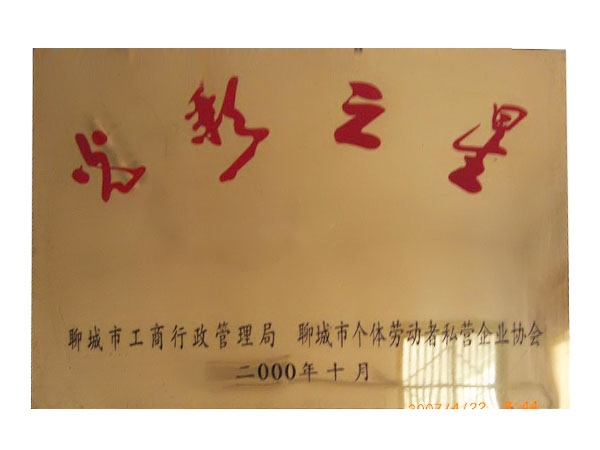 光彩之星