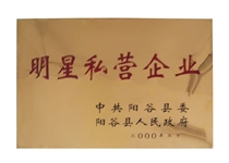 明星私营企业