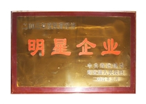 明星企业