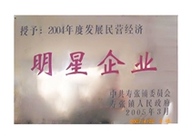 明星企业