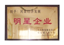 明星企业